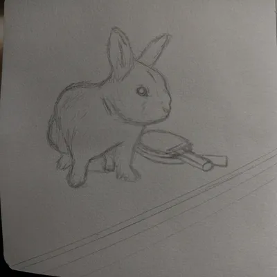 Pw Bunny