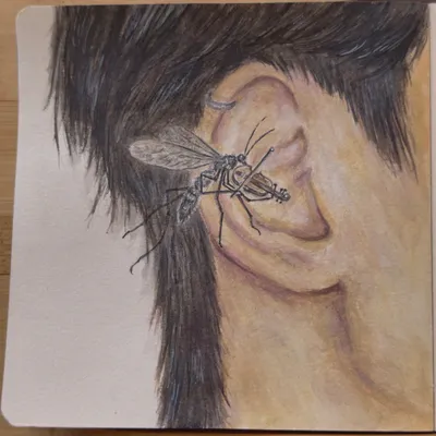 Sk Mosquitoear